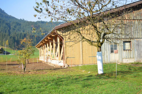 KHT Referenz - Fassade - Stallanbau, Trachslau