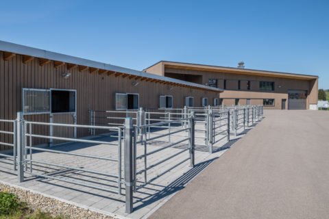 Reithalle Einsiedeln Holzbau