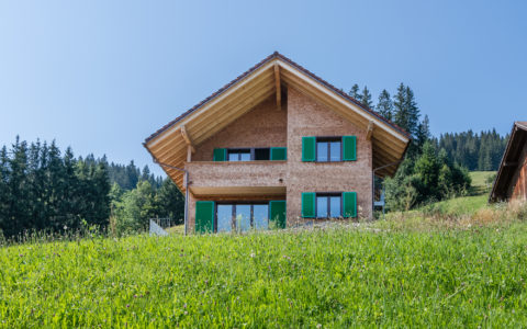 Einfamilienhaus Holzbau